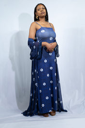 Ensemble LARISSA