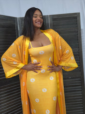 Ensemble LARISSA